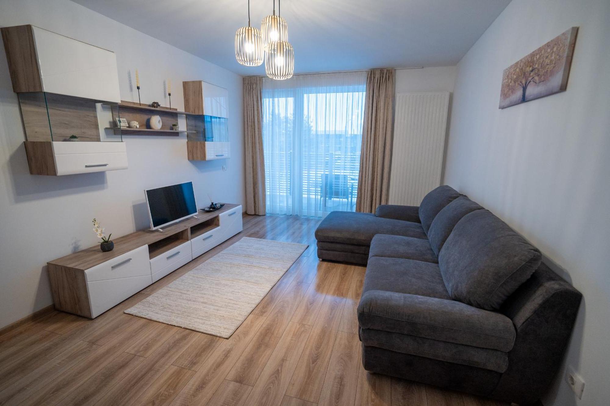 Apartament Deluxe cu 1 dormitor cu vedere la oraş